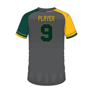 Short Sleeve Men Custom Baseball Button-Down jerseys BSBBJ1002