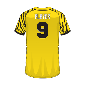 Short Sleeve Men Custom Baseball Button-Down jerseys BSBBJ1003