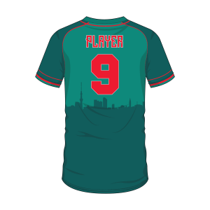 Short Sleeve Men Custom Baseball Button-Down jerseys BSBBJ1008