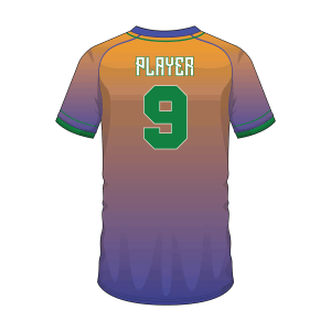 Short Sleeve Men Custom Baseball Button-Down jerseys BSBBJ1005