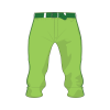 BSBPT1101Adobe_183324462_Colours Done_Front Parrot Green