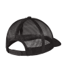 SBTCP17602_Sanmar_Basic_C950_Back