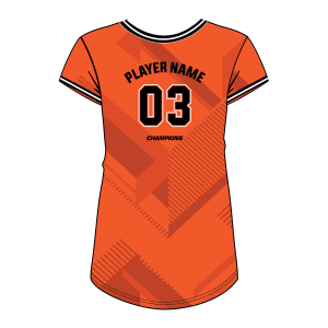 V-Neck Short Sleeve Women Custom Volleyball Jerseys VLBJR4007