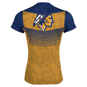 Crew Neck Full Sleeve Men Custom Wrestling Shirts WTLSI13102