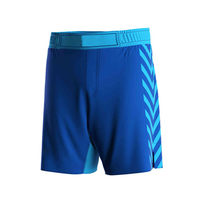 Wrestling Shorts